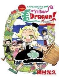 Appearance of the Yellow Dragon